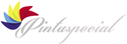 logo-pintuspecial